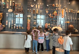 Posjet Hrvatskom prirodoslovnom muzeju