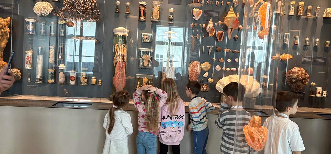 Posjet Hrvatskom prirodoslovnom muzeju